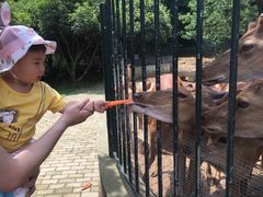 -无锡动物园·太湖欢乐园