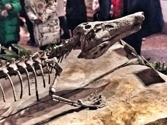 -自贡恐龙博物馆