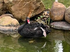 -惠州金海湾嘉华度假酒店