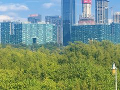 -深圳湾公园(南山区)