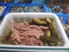 -老大连·海肠捞饭·大连海鲜大连菜(西安路店)