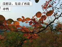 -香山公园