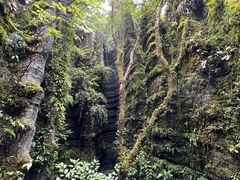 -梭布垭石林景区