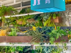 -老乡鸡(上海白玉兰广场店)