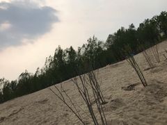 -东郊湿地公园