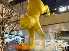 -深圳湾万象城(南山店)