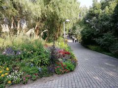 -西湖风景区-江洋畈生态公园