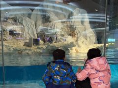 -帝企鹅自助餐厅•儿童岛•真企鹅(长隆企鹅酒店)