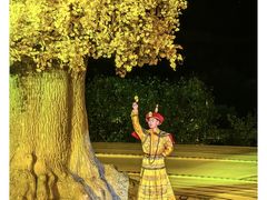 -鼎盛王朝康熙大典实景演出