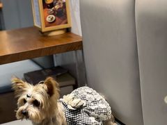 -Line 咖啡(石厦花园店)