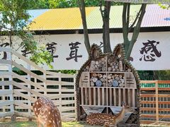 -雪山彩虹谷景区
