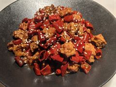 -初蓉丨遇见新川菜(亲贤街荣耀店)
