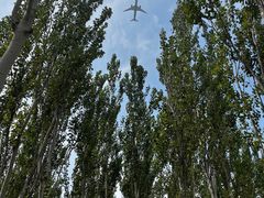 -东郊湿地公园
