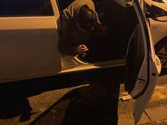 -徐记炭火铜锅手切鲜羊肉(塔湾直营店)