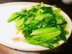 -陈麻婆豆腐(旗舰店)