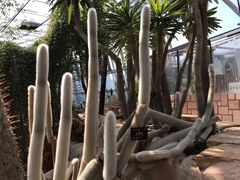 -北京植物园-展览温室