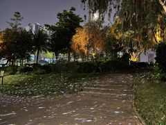 -中澳友谊花园