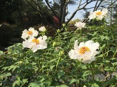 -西郊宾馆·1921餐厅