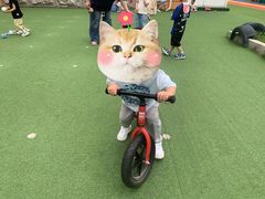 -木渎小星星幼儿园