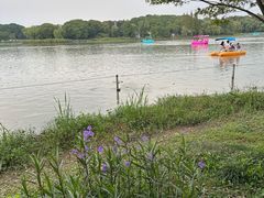 -昆山城市生态森林公园