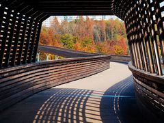 -昆山城市生态森林公园