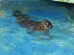 -太平洋海底世界