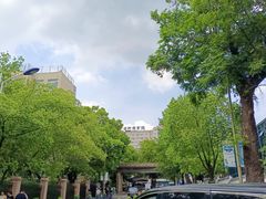 -杭州半山国家森林公园