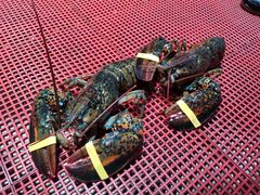-阿浪海鲜连锁加工店(B栋2排1号火车头店)