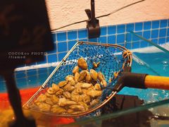 -邹开喜·炭炉鸡煲·海鲜火锅(虹口足球场店)