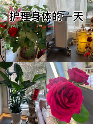 -名媛颜蕙·LPG官方旗舰店