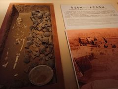 -临沂市博物馆