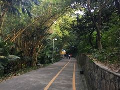 -中山公园(石岐街道)