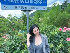 -蘇河湾·新鲁菜·泰山宴(泰山店)