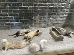 -北海海底世界
