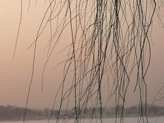 -汤泉良子.足疗按摩.SPA(中关村店)