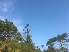 -盐洲岛