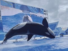 -上海海昌海洋公园