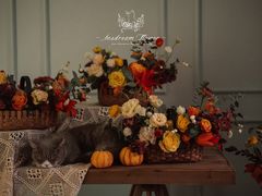-INSDREAM FLOWER 鲜花预定·花艺培训