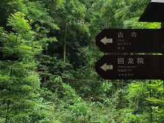 -凤栖山