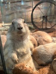 -Zoolung Zoolung动物主题公园(海信广场店)