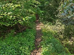 -帽儿山国家森林公园