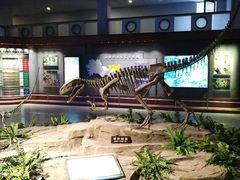 -自贡恐龙博物馆