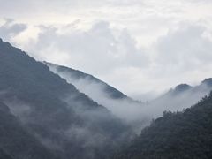 -祁连山草原