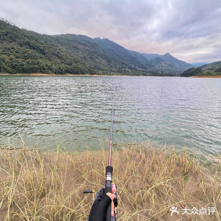 从化流溪河｜钓鱼
