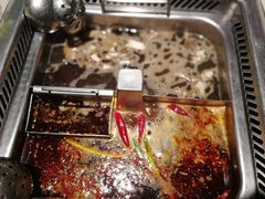 鸳鸯锅-海底捞火锅(团结桥店)