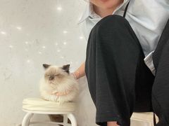 -共舞时光猫咖·狗咖(新街口店)
