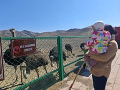-新疆天山野生动物园