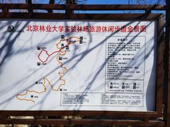 -北京鹫峰国家森林公园