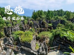 -梭布垭石林景区