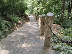 -终南山国家森林公园